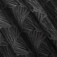 Zasłona Velvet Pierre Cardin Goja 140 x 250 Czarny